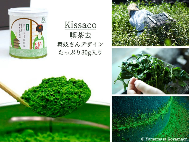 Japanese Matcha Green Tea Bowl Scoop Chasen Whisk Powder Ceremony Set Houkouen