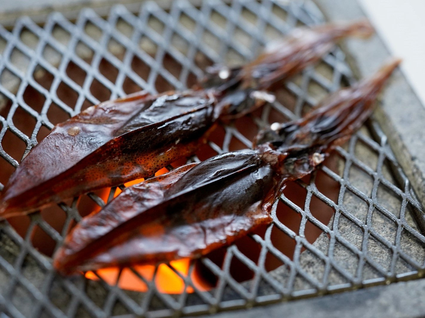 Japanese Squid Snack Delicacy Salt Beer Firefly Drying Preserved Food Kanetsuru